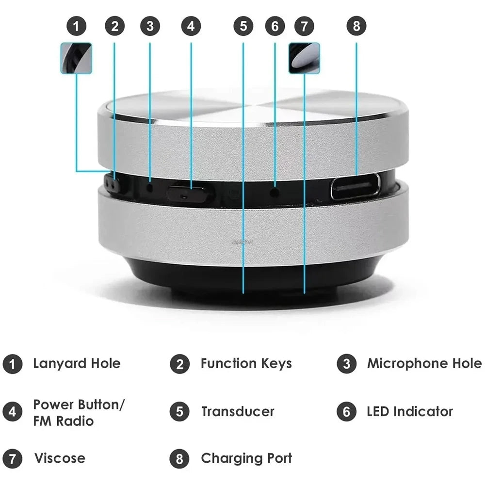 Mini  Vella Bass Speaker